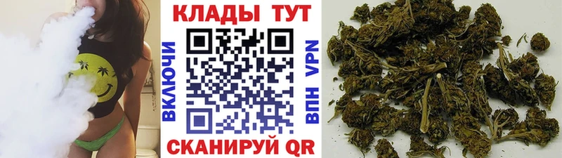 Где купить Гаджиево A PVP  Псилоцибиновые грибы  МЕТАДОН  ГАШ  КОКАИН 