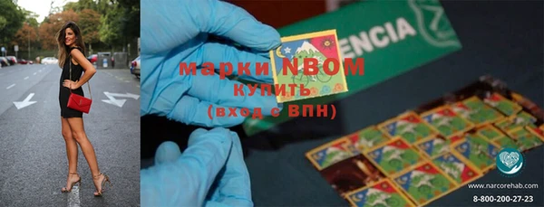 шишки Елабуга