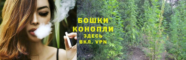 герыч Ельня