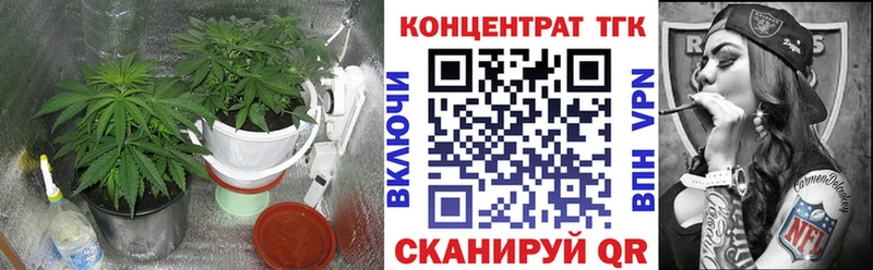 Дистиллят ТГК гашишное масло  закладка  Гаджиево 
